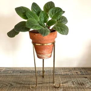 Brass plant stand with glass insert